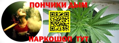 крисы Обь