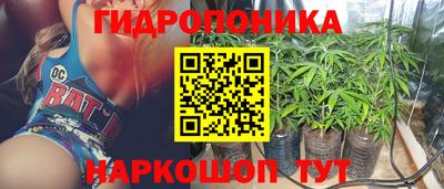 крисы Обь