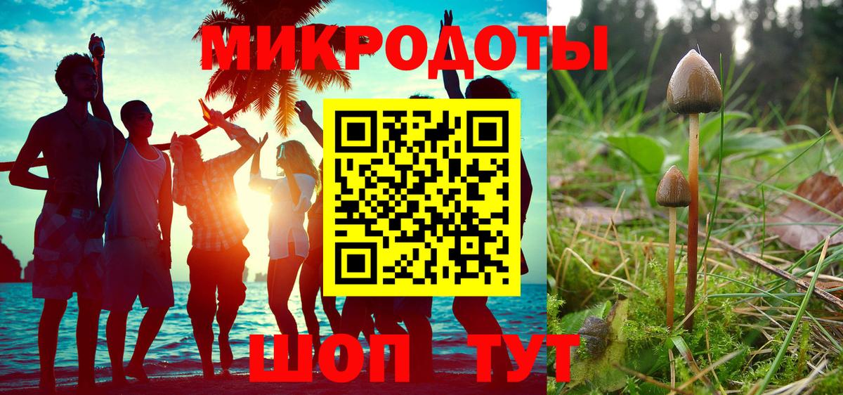 цена   Вход с VPN  Серпухов  Галлюциногенные грибы Psilocybe 